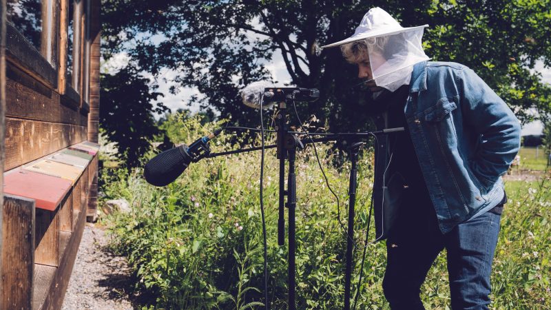 Bewerbungsstart für „Sound of Schwaben“